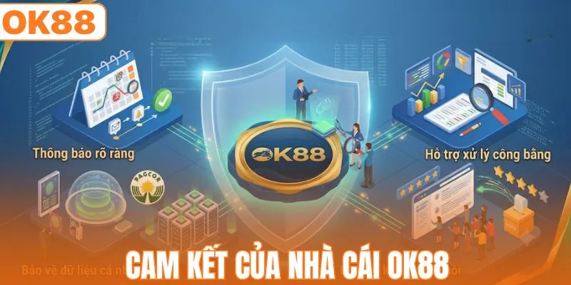 Cam kết của OK88 liên quan đến miễn trừ trách nhiệm