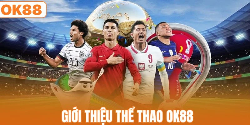 Giới thiệu sơ nét về chuyên mục thể thao OK88