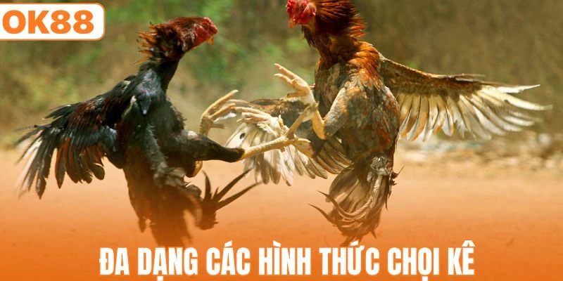 Hệ thống cung cấp đa dạng các loại hình chọi kê